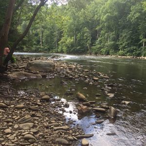 Meet your Posher, Janice